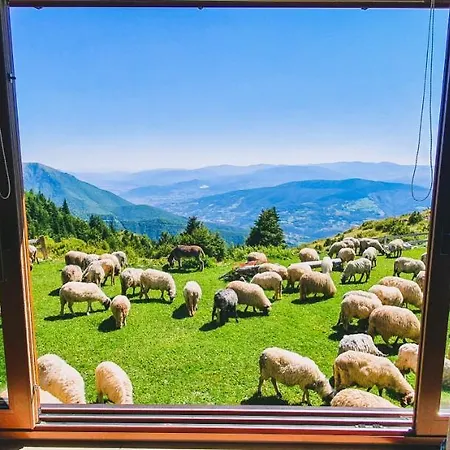 بلانينسكا كوتشا سيدام فلاشيتا * فلاسيتش